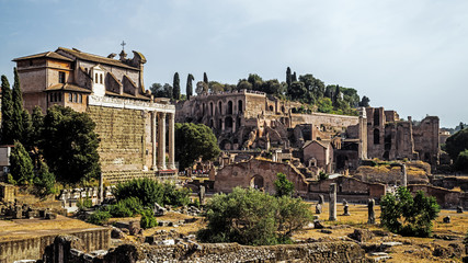Fototapeta na wymiar The ruins of the Forum Romanum in Rome, Italy