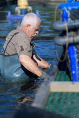 fish farm employee at the dusk of his career
