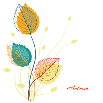 Nature banner with autumn leaves 