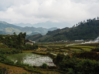 Fototapeta na wymiar Reisfelder in Sapa, Vietnam