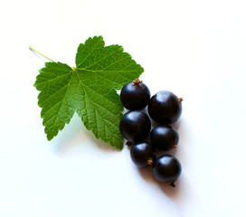 Black currant. Bouquet of fresh berries with leaves