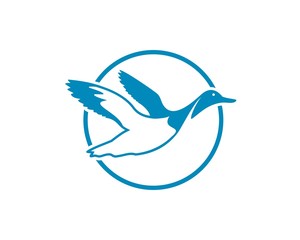 Flying duck logo