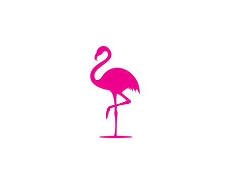 Flamingo silhouette