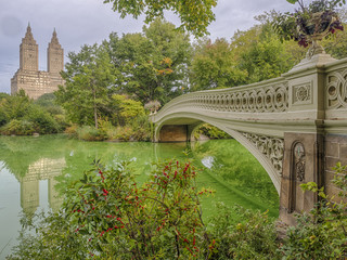 Naklejka premium Bow bridge Central Park