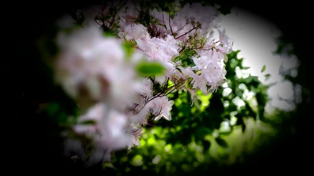 Enger Park Duluth Minnesota