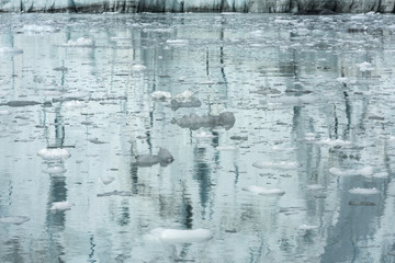 Glacier Reflection, Marjerie Glacier, Glacier Bay