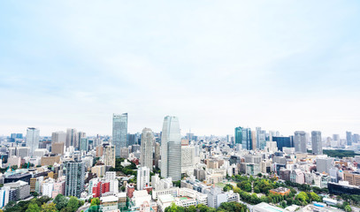 Business and culture concept - panoramic modern city skyline bird eye aerial view from tokyo tower under dramatic morning blue cloudy sky in Tokyo, Japan