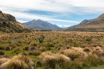 Rural New Zealand