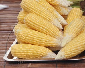 fresh corn at market