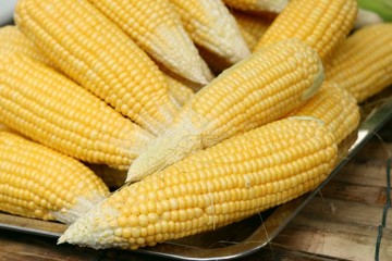 fresh corn at market