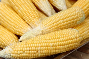 fresh corn at market
