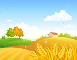 Autumn farmland