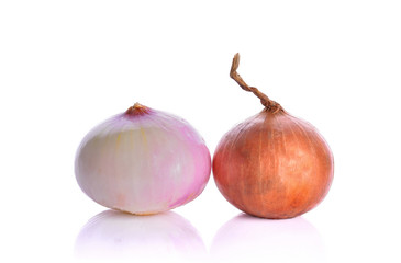 Onions on a white background