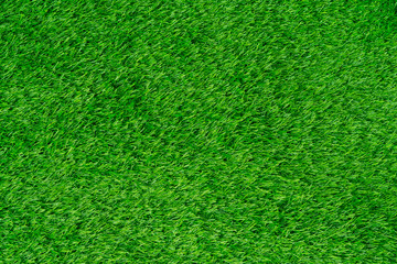 Plakat grass field background . grass texture