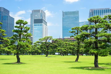 皇居前広場と丸の内高層ビル群