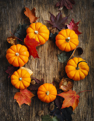 Autumn Pumpkins