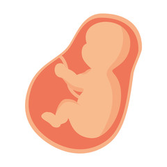 newborn baby isolated icon vector illustration design