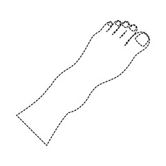 Human feet isolated icon vector illustration design