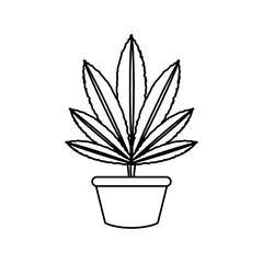  uncolored plant over white  background vector illustration
