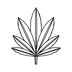 uncolored   leaf over white  background vector illustration