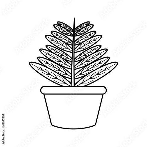 "uncolored plant over white background vector illustration " Stock