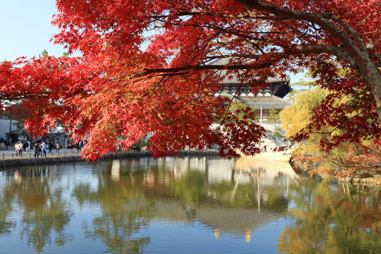 秋の奈良