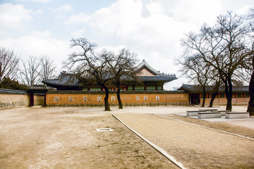 Old palace and drought trees in winter