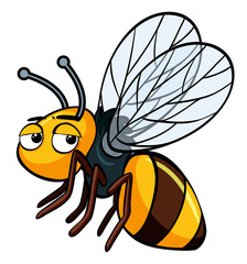 Sleepy bee on white background