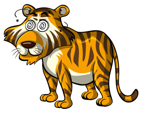 Wild tiger with dizzy eyes
