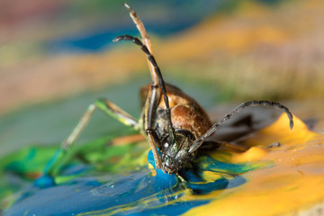 beetle firefighter in children's paints for drawing