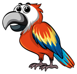 Colorful parrot on white background