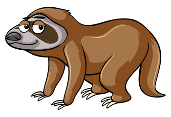 Fototapeta na wymiar Sloth with sleepy eyes