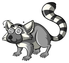 Lemur with dizzy eyes