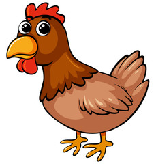 Brown chicken on white background