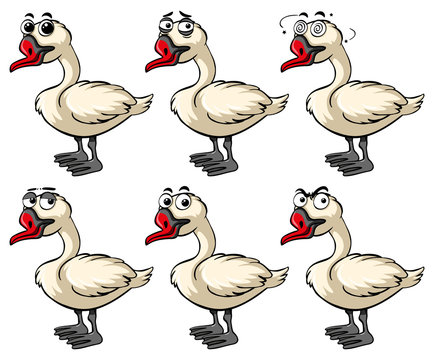 Goose with different emotions