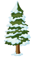 Pine tree covered with snow