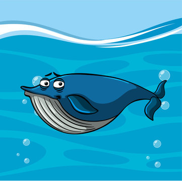 Whale swimming in blue sea