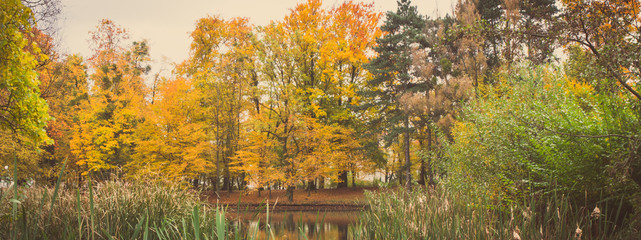 Vintage photo, Trees with colorful leaves and lake in autumnal park