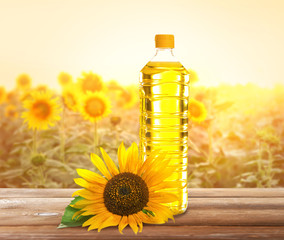 Beautiful sunflower field in morning