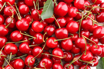 Many cherries, closeup