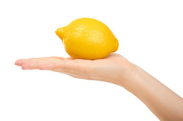 female hand holding lemon. Isolated on white background