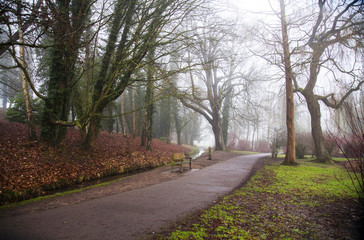 Fototapeta na wymiar Mist in autumn park