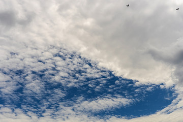   Cumulus clouds over the sky before the rain