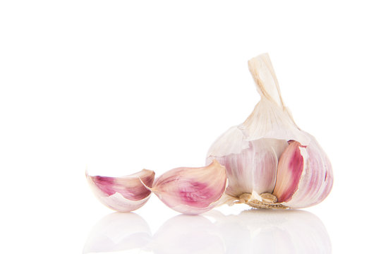 Fresh garlic bulb