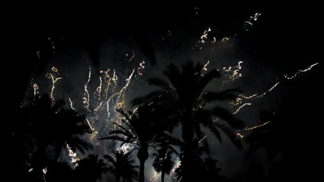 Fireworks multiple. Firework. Colorful fireworks atn holiday night