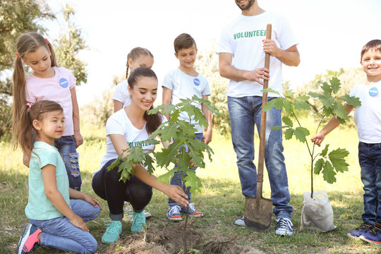 Young volunteers with children planting tree in park