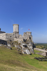 Fototapeta na wymiar Ruins of 14th century medieval castle, Ogrodzieniec Castle,Trail of the Eagles Nests, Podzamcze, Poland