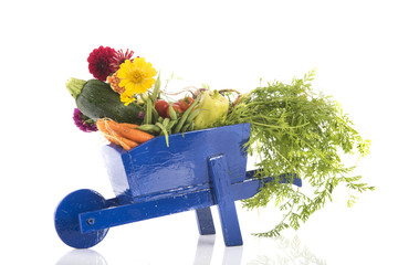 Wooden wheel barrow with vegetables