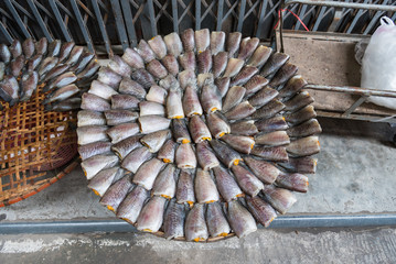 Stack of salted dried small fish that have dried Skin Gourami Fish (Pla salid fish or Sepat siam) that can be found in many local fish markets in Thailand.