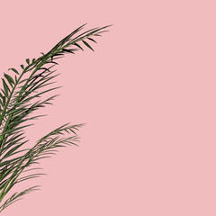 Naklejka premium Palm leafs